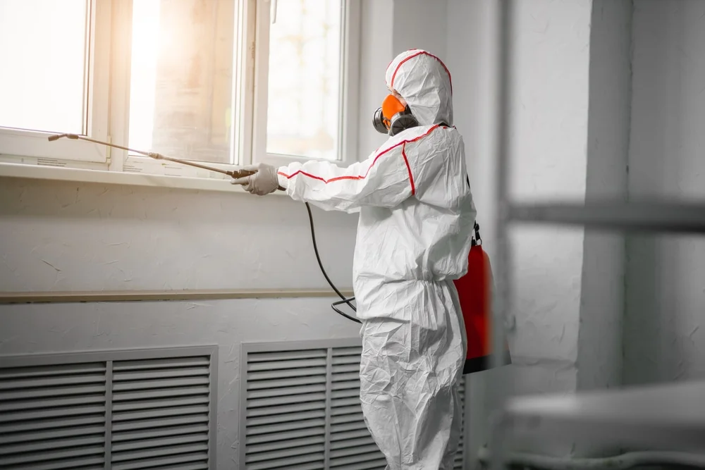 Professional mold remediation services in Orting, WA